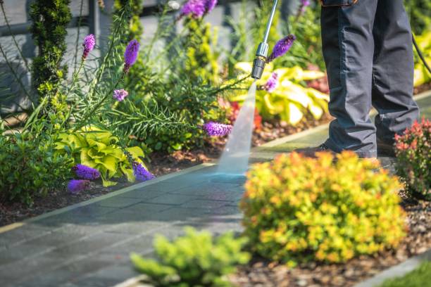 Professional Pressure Washing Services in Walnut Hill, TN