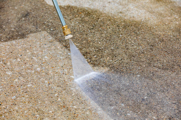 Best Pool Deck Cleaning in Walnut Hill, TN