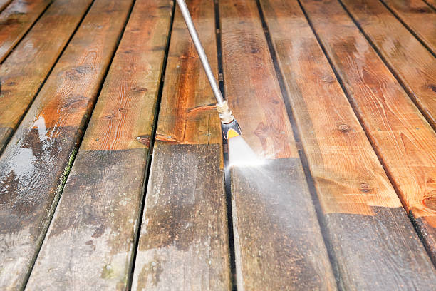 Best Soft Washing for Delicate Surfaces in Walnut Hill, TN